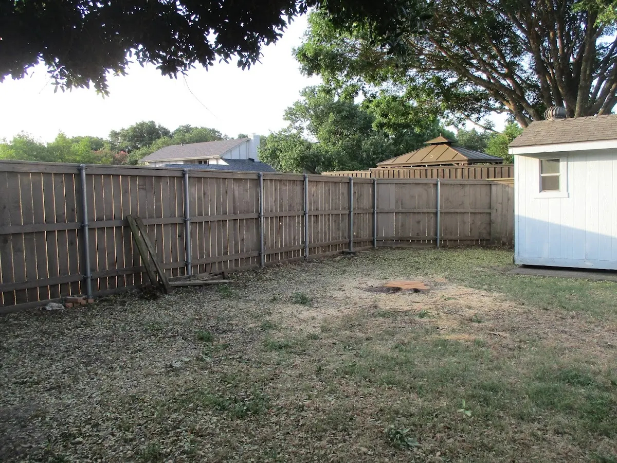 Cleared yard after professional tree removal in Clarks Hill